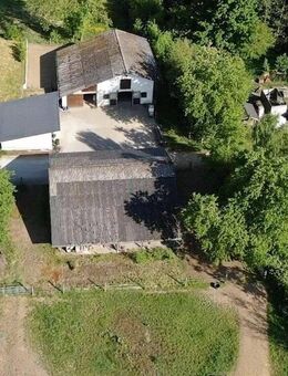 Altenkirchen - Wissen! Neu saniertes Wohnhaus mit Pferdestallungen, Nebengebäuden und Weideland! - Altenkirchen (Westerwald)
