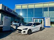 Ford Focus, ST-Line Automatik Ergonomie-Sitze EcoBlue EU6d, Jahr 2023 - Dülmen