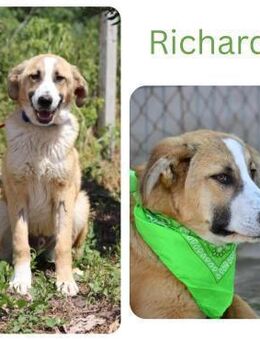 Richard - Wendelstein