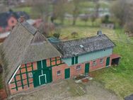 Historisches Bauernhaus unter Reet - inmitten von Schleswig-Holstein - Langwedel (Schleswig-Holstein)