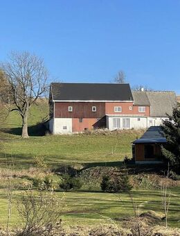 Viel Platz für Tiere - Altenberg