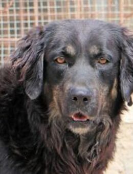 MARY - so hübsch und doch im rifugio... - Regensburg