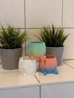 Lustiger Blumentopf 3x - Köln