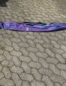 Ski-Sack für zwei Skier in 41542