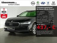 Skoda Superb, COMBI SELECTION TDI SITZ, Jahr 2024 - Coesfeld