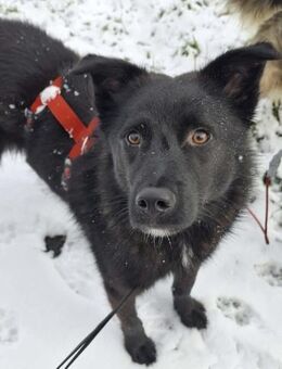 Whoopi - hat ein großes Herz - Löwenberger Land