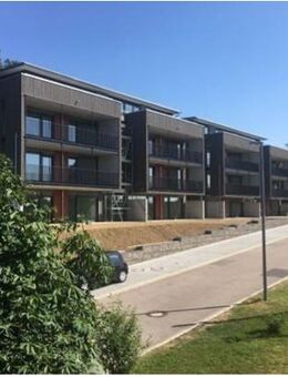 Alpensicht 2 Zimmer Wohnung - Waldshut-Tiengen