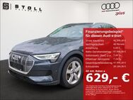 Audi e-tron, 55 quattro Umgebungskameras, Jahr 2021 - Binzen