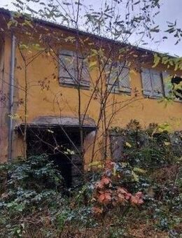 IMMOBERLIN.DE - Sehr großes Entwicklungspotenzial! Charaktervolle Immobilie in naturverbundener Lage - Buckautal