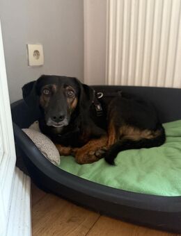 Rea sucht ihre Menschen - Hamburg