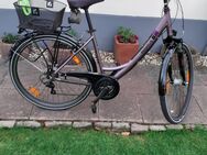 Pegasus Trekingräder - Würselen