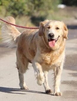 Caiara ist so eine liebe Seele! - Karben