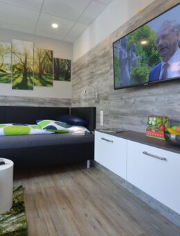 Schönes 1-Zimmer-Apartment mit Balkon, voll ausgestattet in Marktheidenfeld - Marktheidenfeld