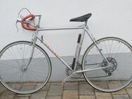 Peugeot Rennrad - Antdorf