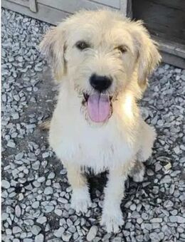 SONJA ♥ offen + freundlich - Duisburg