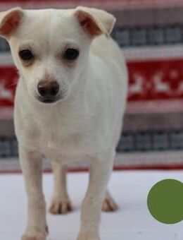 SPIKE -ich freue mich auf das neue Leben - Overath