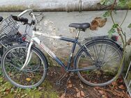 Bastler-Fahrrad Conquest 28" - Düsseldorf