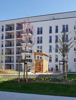 Alles beisammen + kurze Wege - Dresden