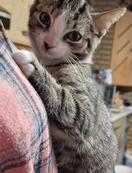 Dosenöffner gesucht - Ducherow