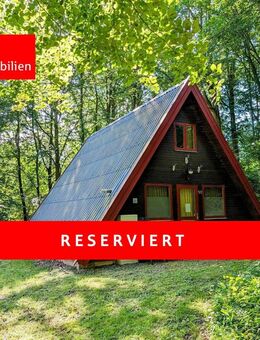 Diese Ferienimmobilie bietet Erholung, eingebettet im Wald des Feriendorfes am Twistesee - Bad Arolsen