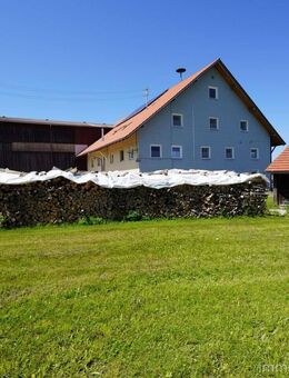 Super Kapitalanlage-Hohe Mieteinnahmen im Bauernhaus mit viel Wohnfläche Nutz,- Weidefläche - Altusried