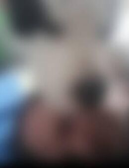 Chr*** - Neuenkirchen (Landkreis Osnabrück)