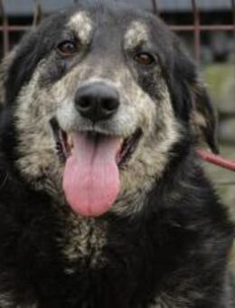 Casper wartet schon auf Dich! - München