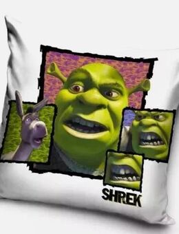 Shrek Kissenbezug 40x40 cm Samt - Neumünster