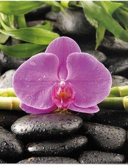 Reinders! Poster Orchidee, (1 St)