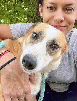 Stets liebevoll + freundlich = DARCY ♥️ - München