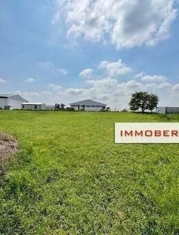 IMMOBERLIN.DE - Großes Grundstück mit Einfamilienhaus in Müncheberg - Müncheberg