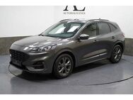 Ford Kuga ST-Line X HUD NAVI ACC KAMERA LED APPLE.P - Salach