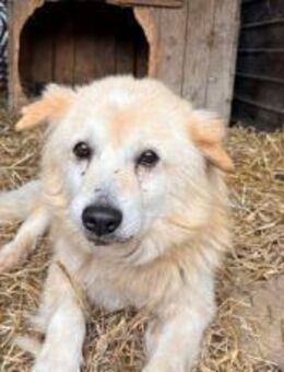 Opa Bärli - München