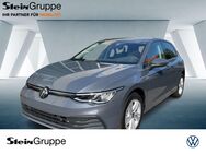 VW Golf, 2.0 TDI VIII Life FLA, Jahr 2023 - Bergisch Gladbach