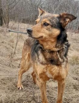 MUCHACHA - aus Charkow........ - Kempen