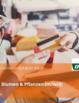 Verkäufer Blumen & Pflanzen (m/w/d) - Dietzenbach