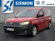 VW Caddy, 1.5 TSI Maxi Kombi, Jahr 2021 - Lengerich (Nordrhein-Westfalen)