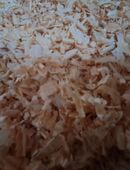 Zirben Späne in 07924