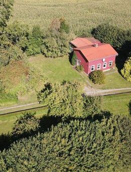 Klein aber Mein! Landhaus in traumhafter, idyllischer Lage von Angeln! - Esgrus