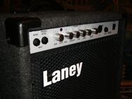 Legendäre Gitarrenbox (Bassgitarrencombo) Laney Richter RBW100 - Ingolstadt