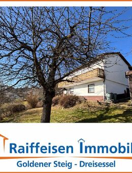 Freistehendes Einfamilienhaus in ruhiger, sonniger Aussichtslage - N. Grafenau - Grafenau (Bayern)