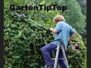Gartenarbeiten wie Rasen mähen, Hecken schneiden, Pflasterarbeiten, Fundamente für Wärmepumpen, etc... - Essen