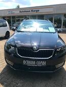 Skoda Octavia Combi 1,4 TSI Joy DSG Navi, Allwetter, ACC, ... in 03172