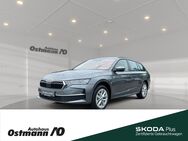 Skoda Octavia, Combi Selection 110kw TDI, Jahr 2024 - Niestetal