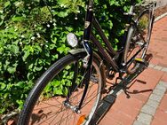 Hochwertiges 28er WINORA Damen Alu Trekking Rad Cityrad 7 Gang mit Rücktritt TOP! - München