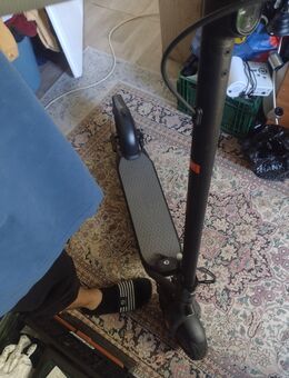 Nineboot pro2 - Bonn