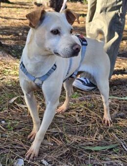 Meredith ❤️ kleine blonde Schönheit - Velbert