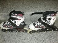 Verstellbare Inlineskates HEAD Gr. 36-41 - Seelze