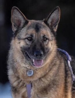 Menschenbezogene Lima sucht dich! - Duisburg