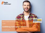 Ausbildung Fachlagerist (m/w/d) - Leverkusen